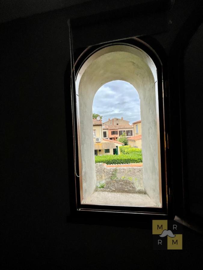 Le Templier Vue Cite Pied Cite Medievale Neuf Carcassonne Ngoại thất bức ảnh